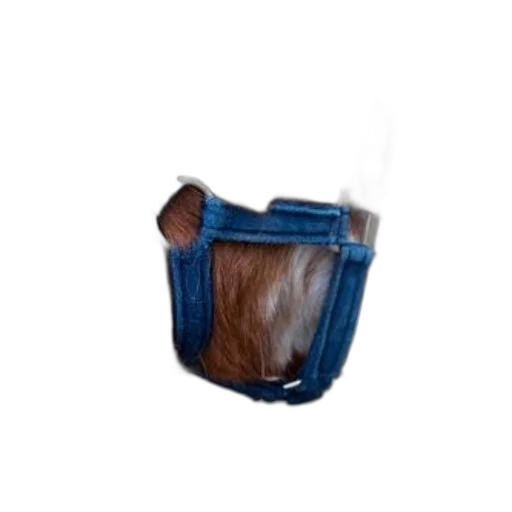 hair, mask, hat, staff transparent PNG cut-out