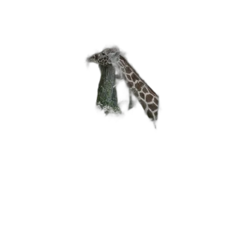 animal, dragon, weapon, creature transparent PNG cut-out