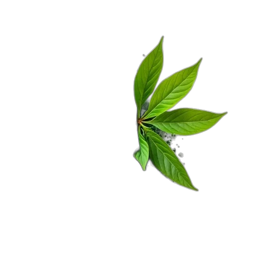 tree, flower, food, staff transparent PNG cut-out