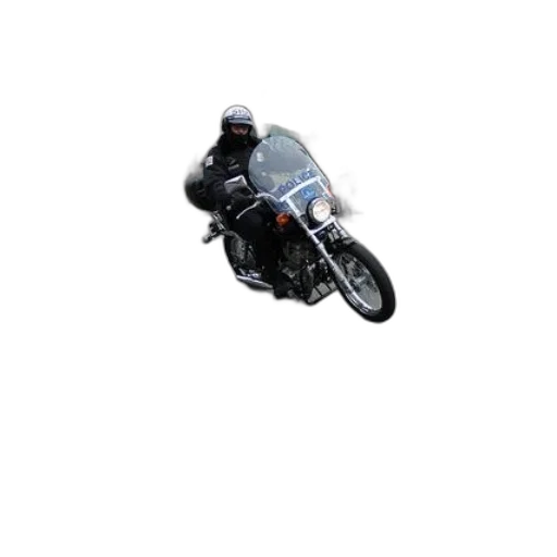 animal, jacket, weapon, photorealistic transparent PNG cut-out