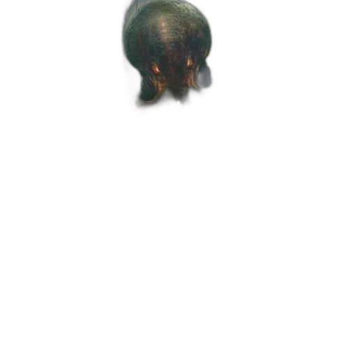 creature, hair, animal, hat transparent PNG cut-out