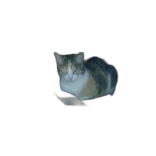 animal, creature, robot, staff transparent PNG cut-out