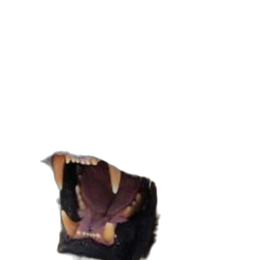 mask, hat, creature, shoes transparent PNG cut-out