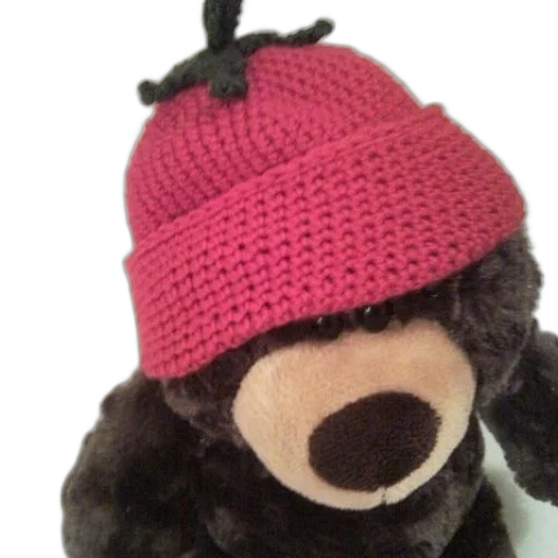 hat, brown, teddy, bear transparent PNG cut-out