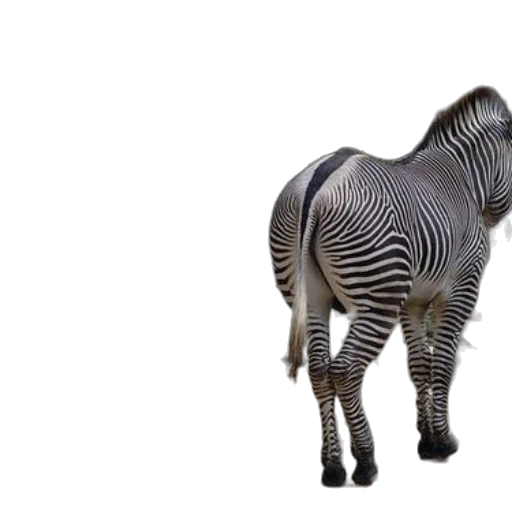 animal, creature, furniture, robot transparent PNG cut-out