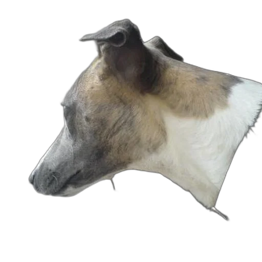 animal, mask, face, hat transparent PNG cut-out