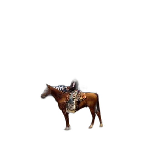 animal, creature, jacket, furniture transparent PNG cut-out