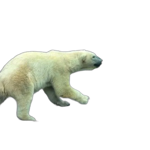 animal, creature, 3d render, concept art transparent PNG cut-out