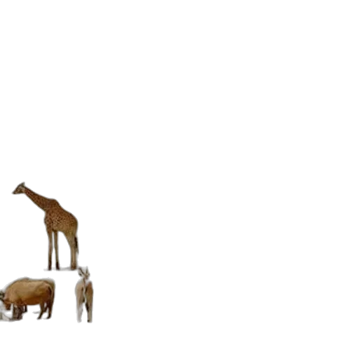 animal, creature, furniture, concept art transparent PNG cut-out