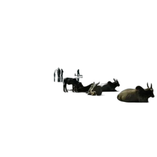 weapon, animal, staff, car transparent PNG cut-out