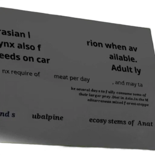 car, food, tree, text-heavy transparent PNG cut-out