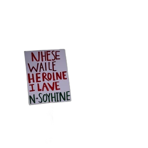 people, holding, signs, protesting transparent PNG cut-out