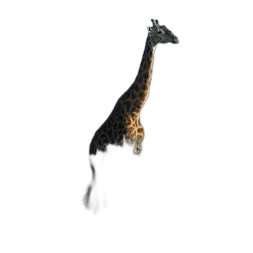 animal, creature, dragon, staff transparent PNG cut-out