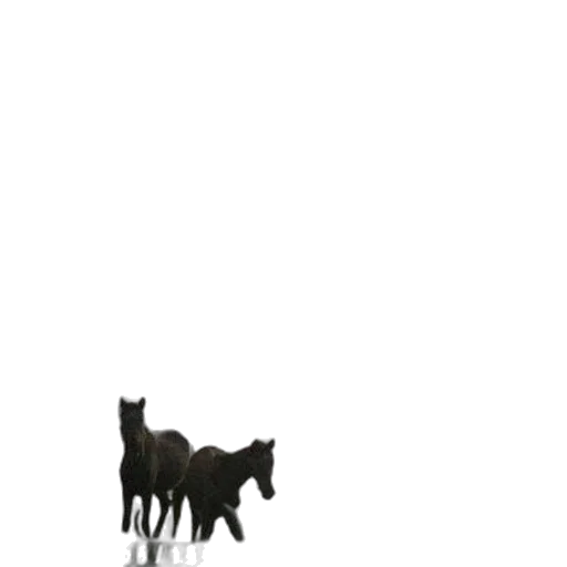 animal, creature, staff, robot transparent PNG cut-out