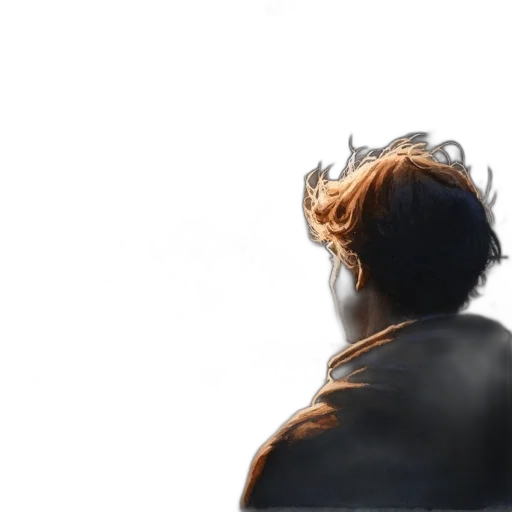 hair, jacket, crown, face transparent PNG cut-out
