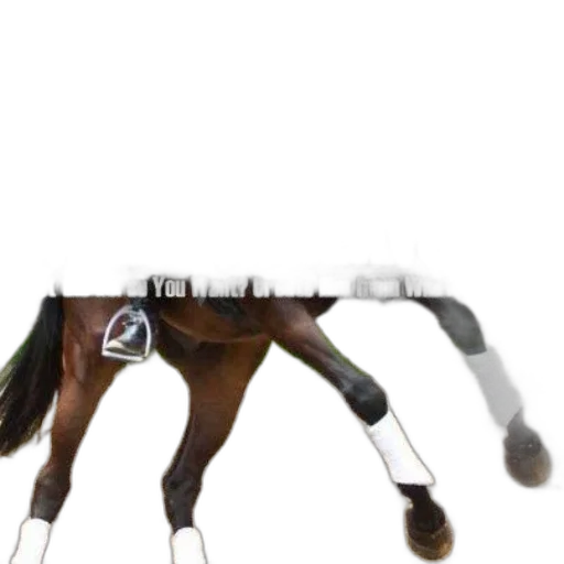 animal, staff, creature, weapon transparent PNG cut-out