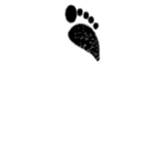 shoes, creature, animal, face transparent PNG cut-out