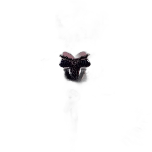 mask, jewelry, crown, face transparent PNG cut-out