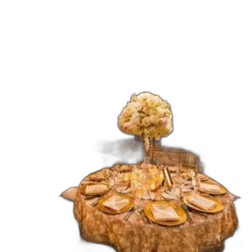 food, crown, tree, jacket transparent PNG cut-out