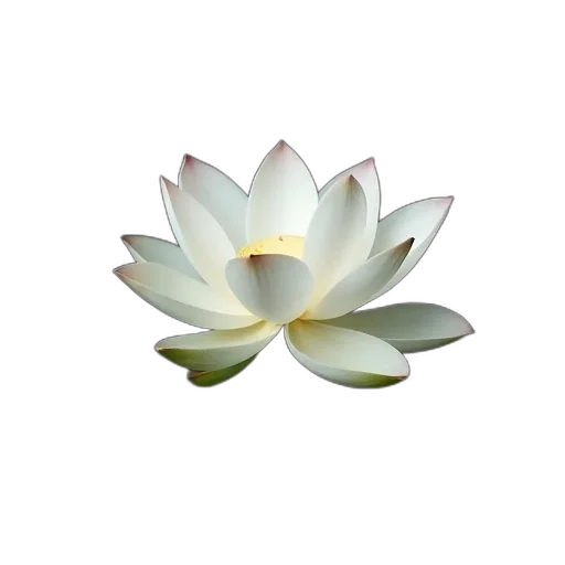 flower, crown, jewelry, staff transparent PNG cut-out
