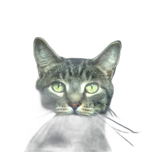 animal, creature, face, staff transparent PNG cut-out