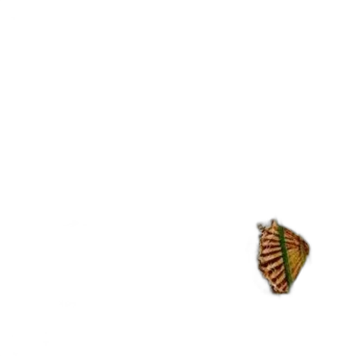 hat, food, umbrella, shoes transparent PNG cut-out