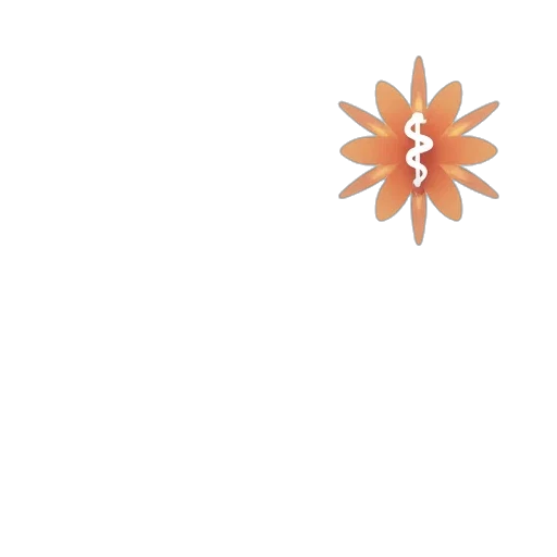 flower, crown, jewelry, umbrella transparent PNG cut-out