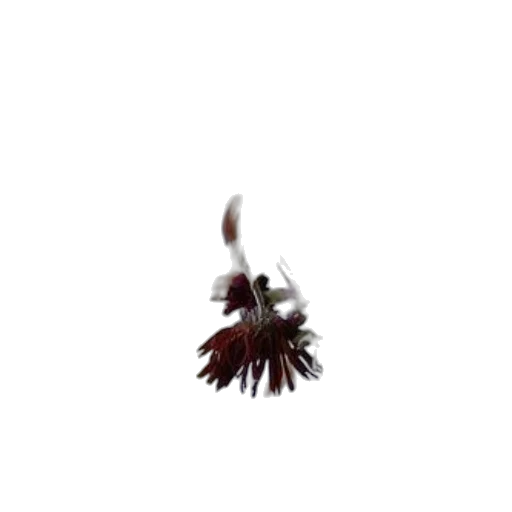 flower, crown, hair, staff transparent PNG cut-out