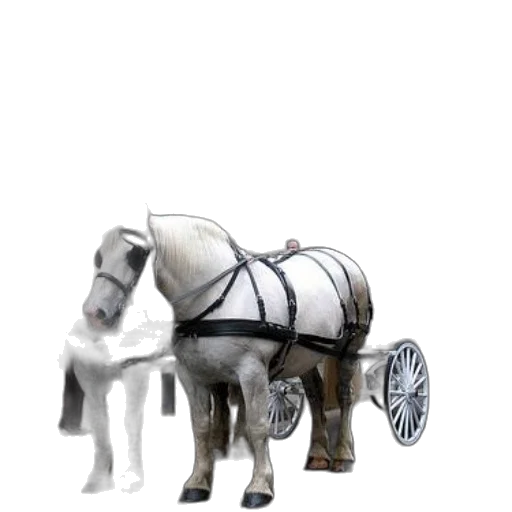 robot, animal, car, weapon transparent PNG cut-out