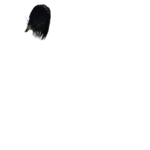 hair, hat, mask, creature transparent PNG cut-out