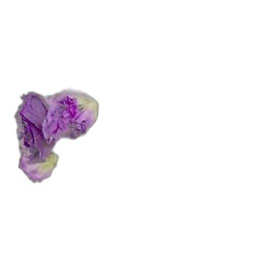flower, jewelry, crown, hair transparent PNG cut-out