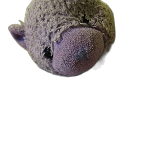 hat, staff, animal, creature transparent PNG cut-out