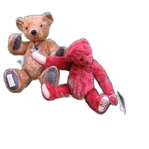 shoes, furniture, two, teddy transparent PNG cut-out