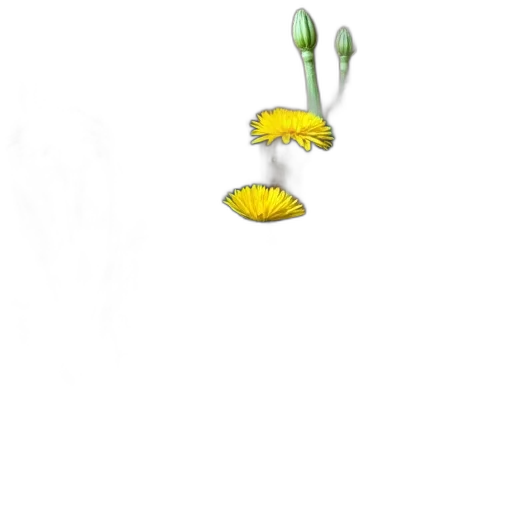 flower, staff, weapon, crown transparent PNG cut-out
