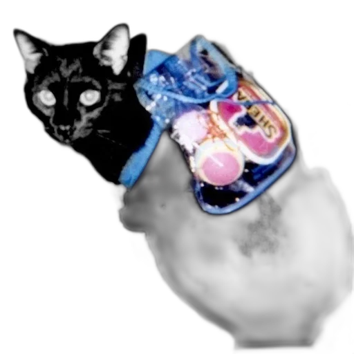 jewelry, animal, food, creature transparent PNG cut-out