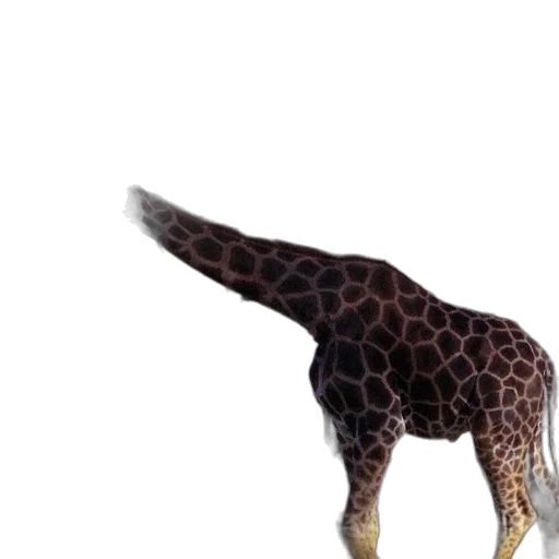 animal, creature, staff, weapon transparent PNG cut-out