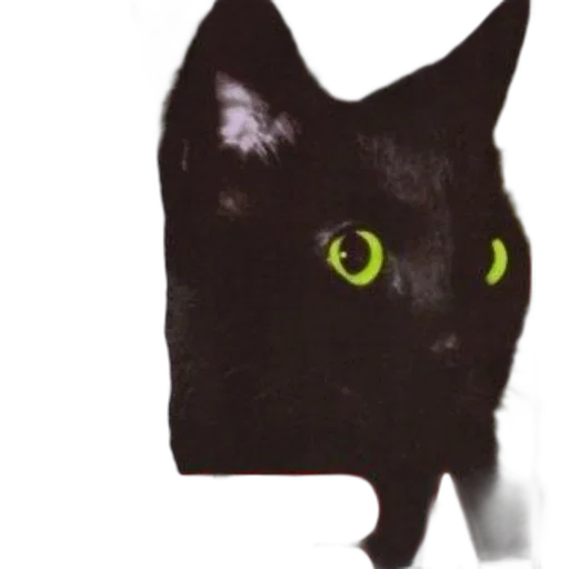animal, staff, mask, creature transparent PNG cut-out