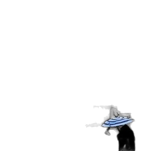 umbrella, hat, dress, animal transparent PNG cut-out