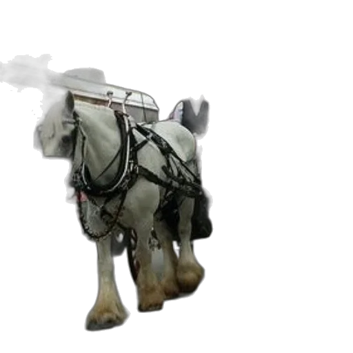 animal, weapon, robot, staff transparent PNG cut-out