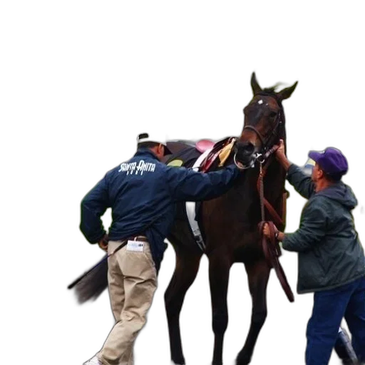 staff, animal, man, blue transparent PNG cut-out
