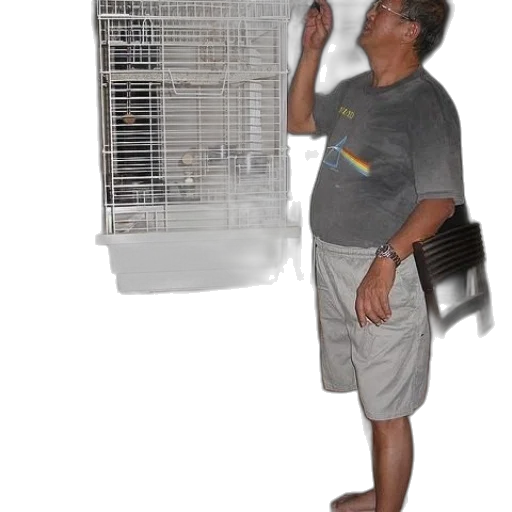 animal, creature, furniture, staff transparent PNG cut-out