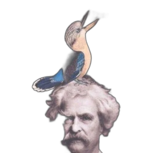 hair, face, staff, creature transparent PNG cut-out