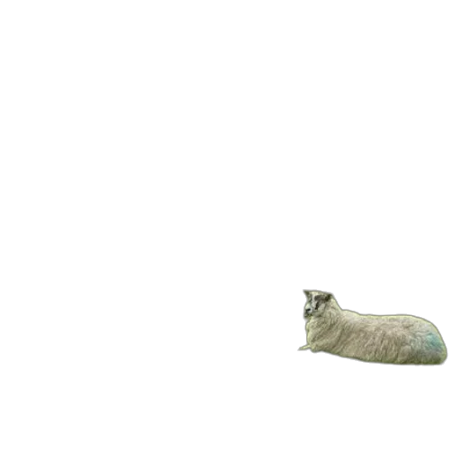 animal, creature, bottle, weapon transparent PNG cut-out