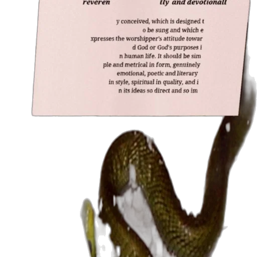 creature, dragon, animal, food transparent PNG cut-out