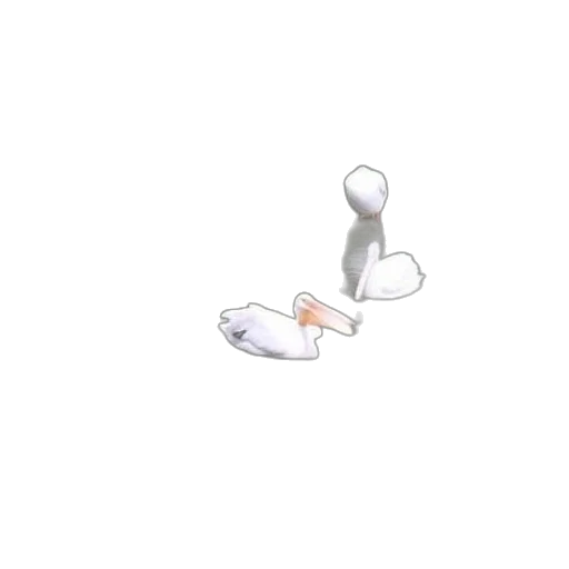 weapon, animal, shoes, staff transparent PNG cut-out