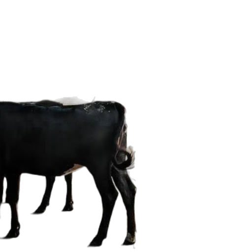 animal, food, creature, weapon transparent PNG cut-out