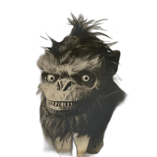 animal, mask, creature, face transparent PNG cut-out