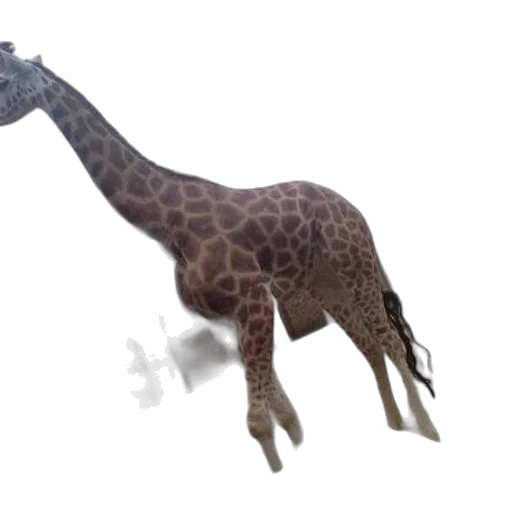 animal, creature, staff, weapon transparent PNG cut-out