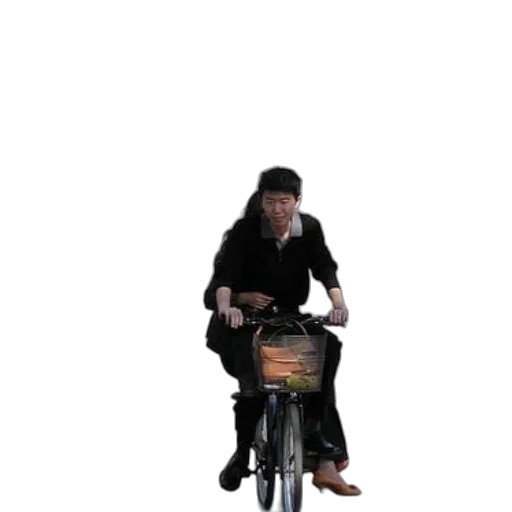 jacket, animal, creature, car transparent PNG cut-out
