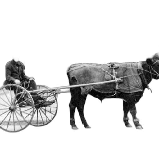 car, animal, staff, robot transparent PNG cut-out